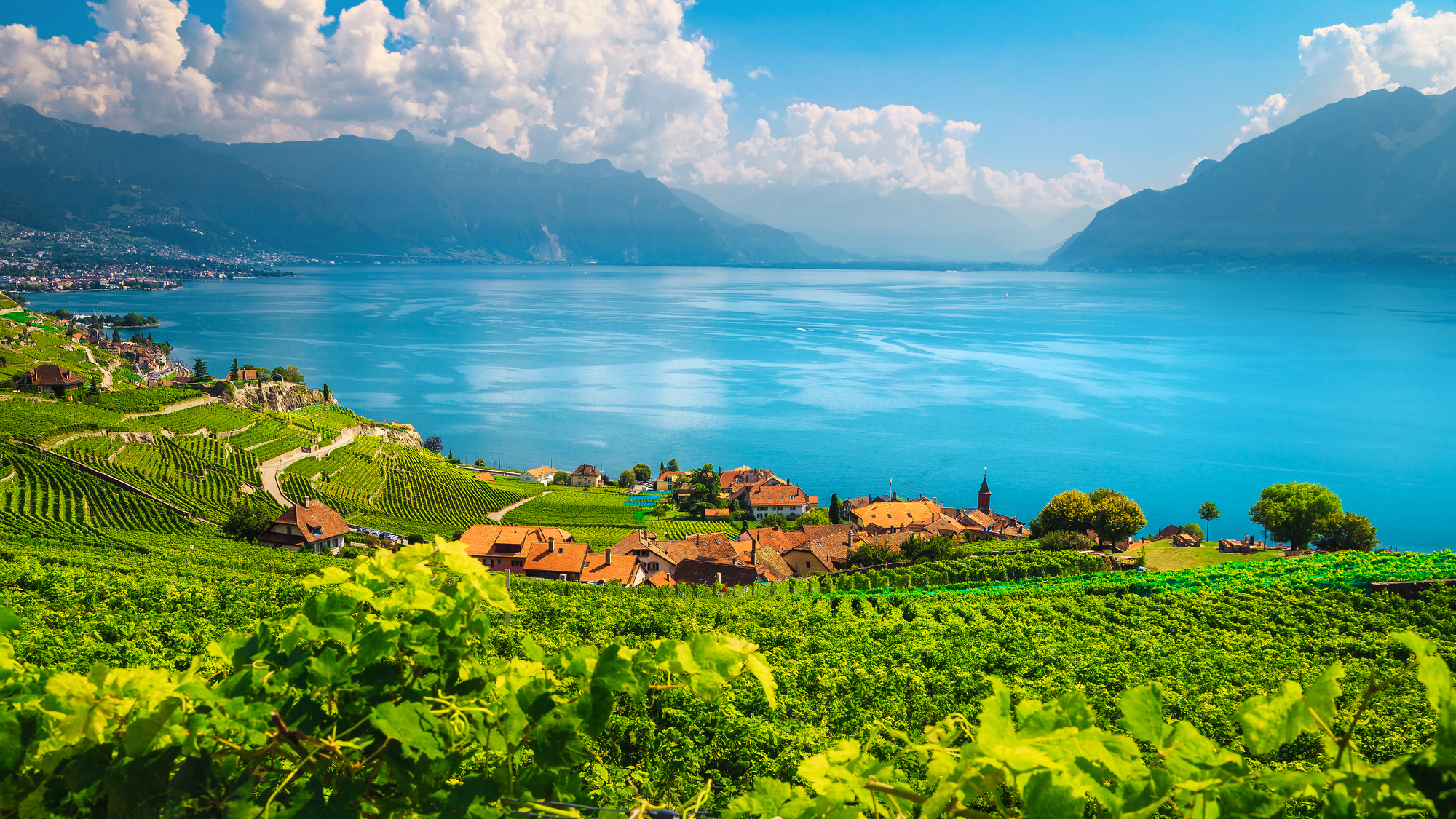 shutterstock-1774989338-1-1-