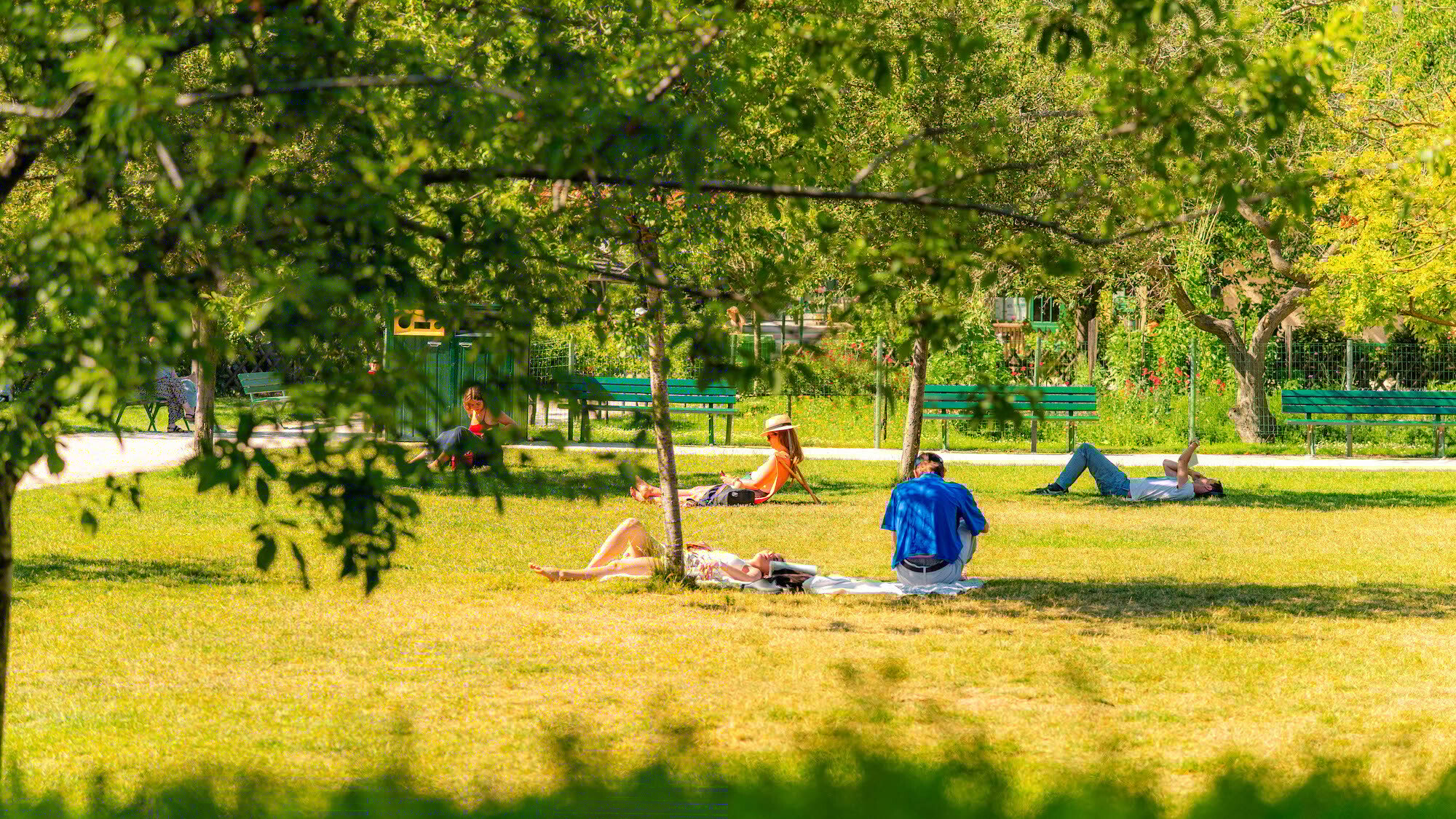 soleil-paric-paris-canicule-meteo-lecture-ombre-16