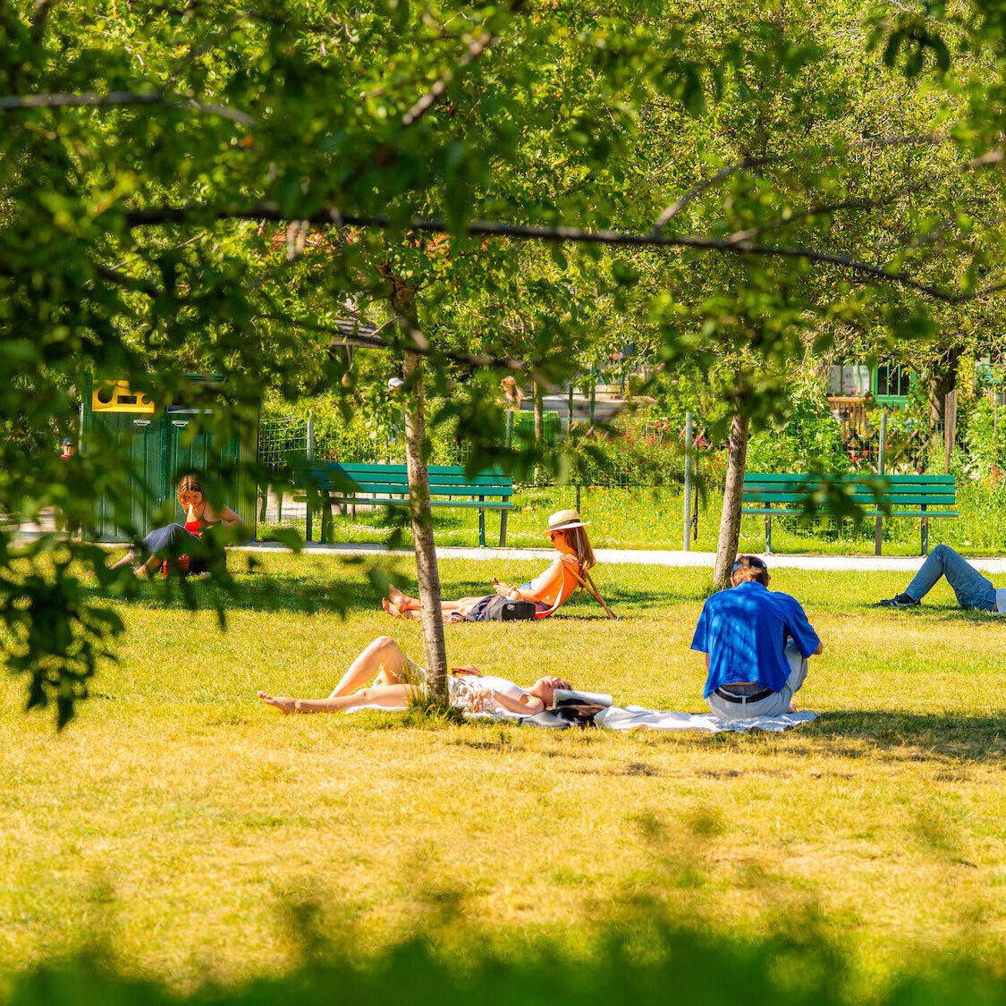 soleil-paric-paris-canicule-meteo-lecture-ombre-16