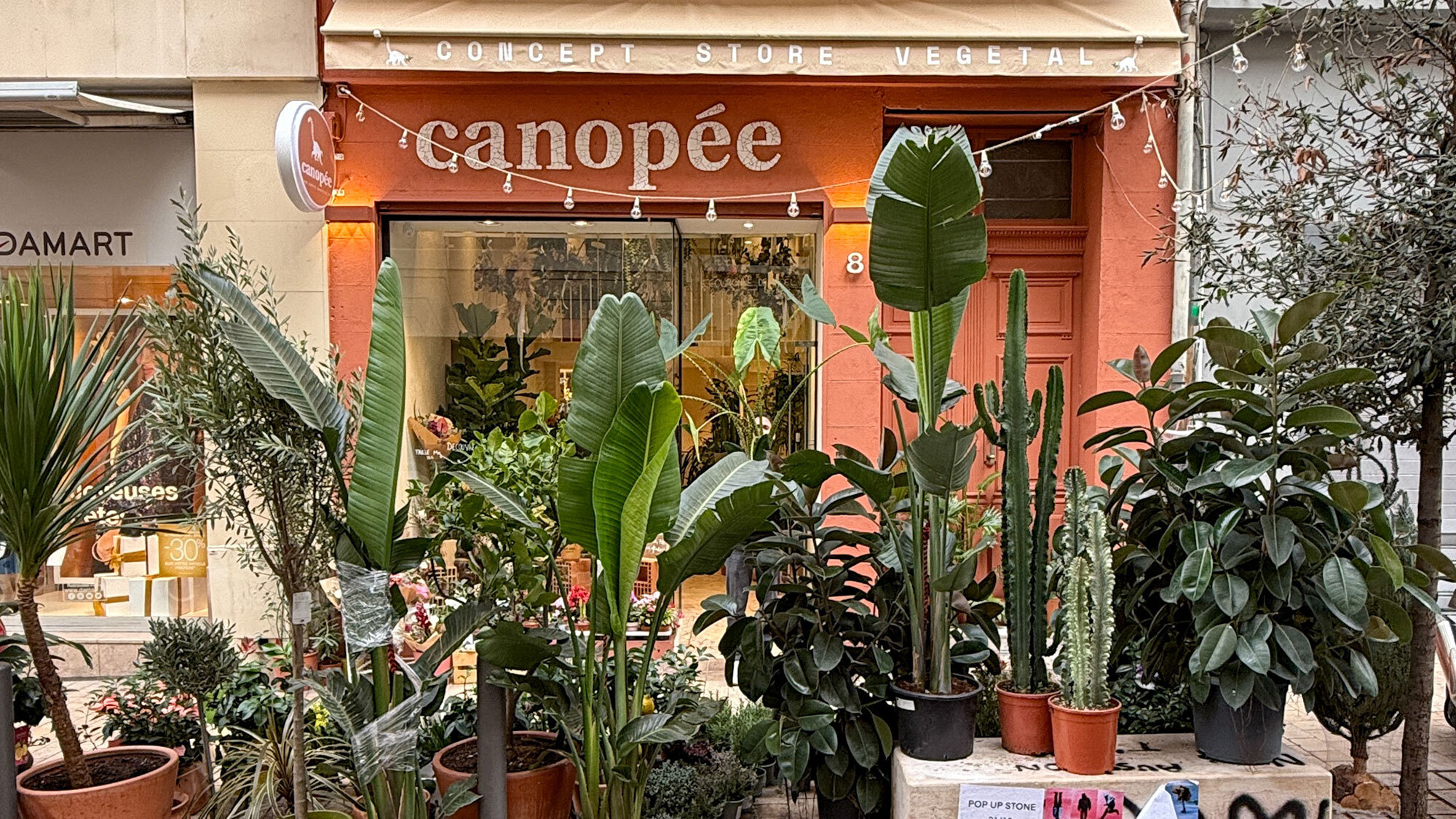 canopee-couv