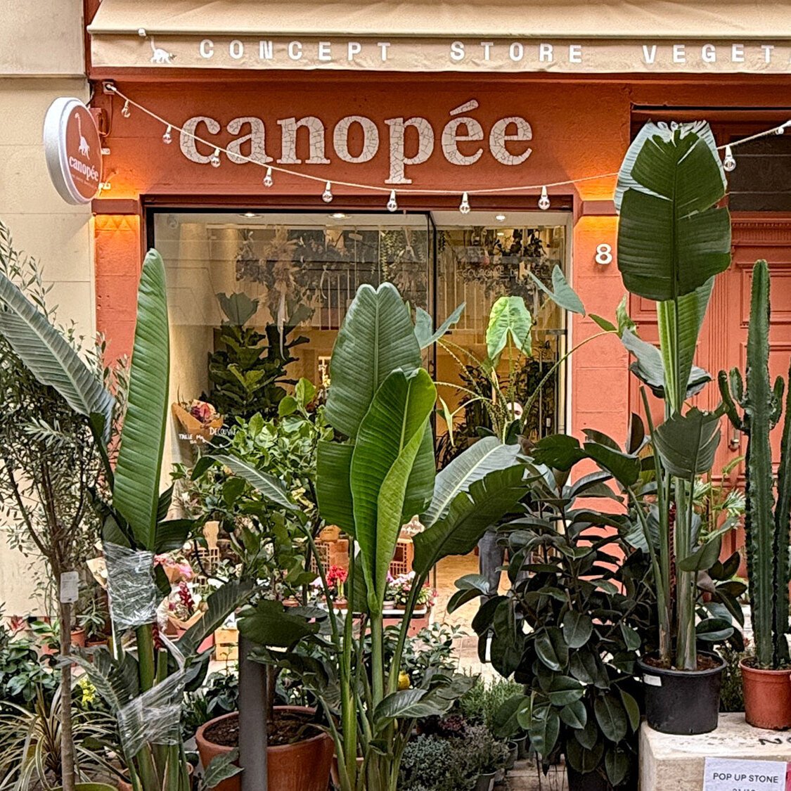 canopee-couv