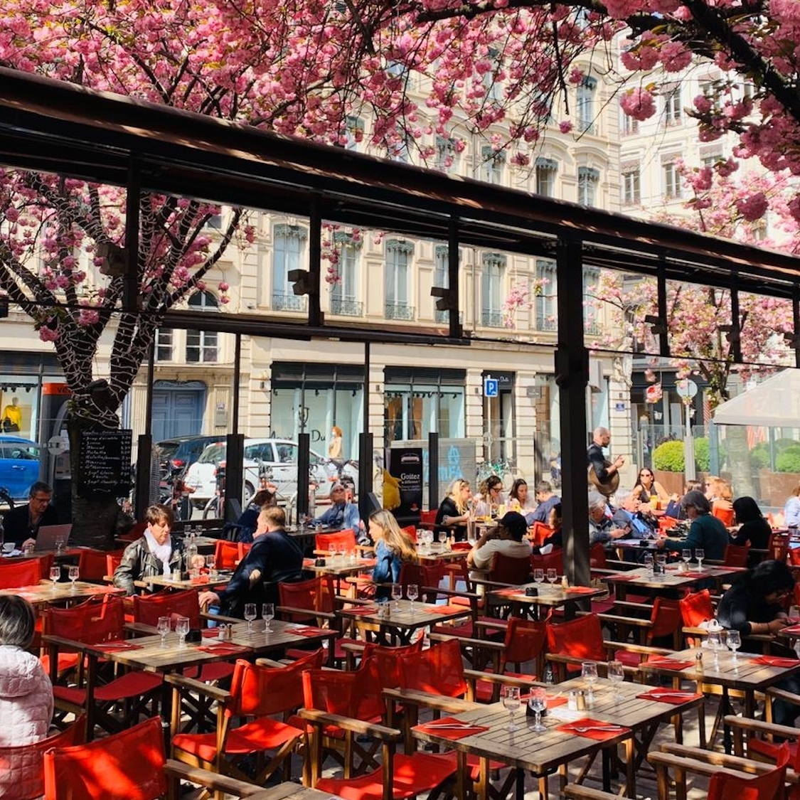 cafe-perl-terrasse-lyon-2