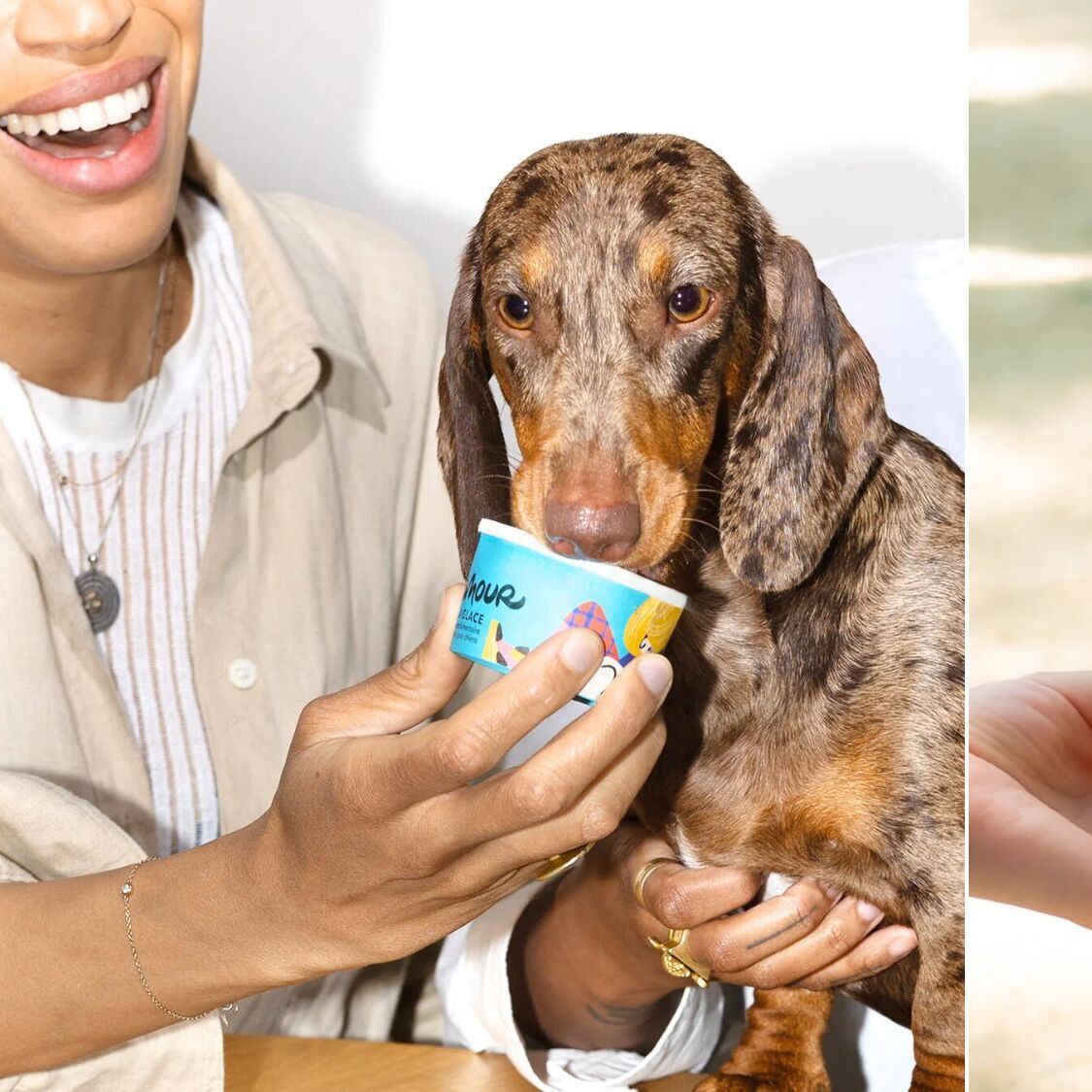 nice-glaces-chiens-delamour
