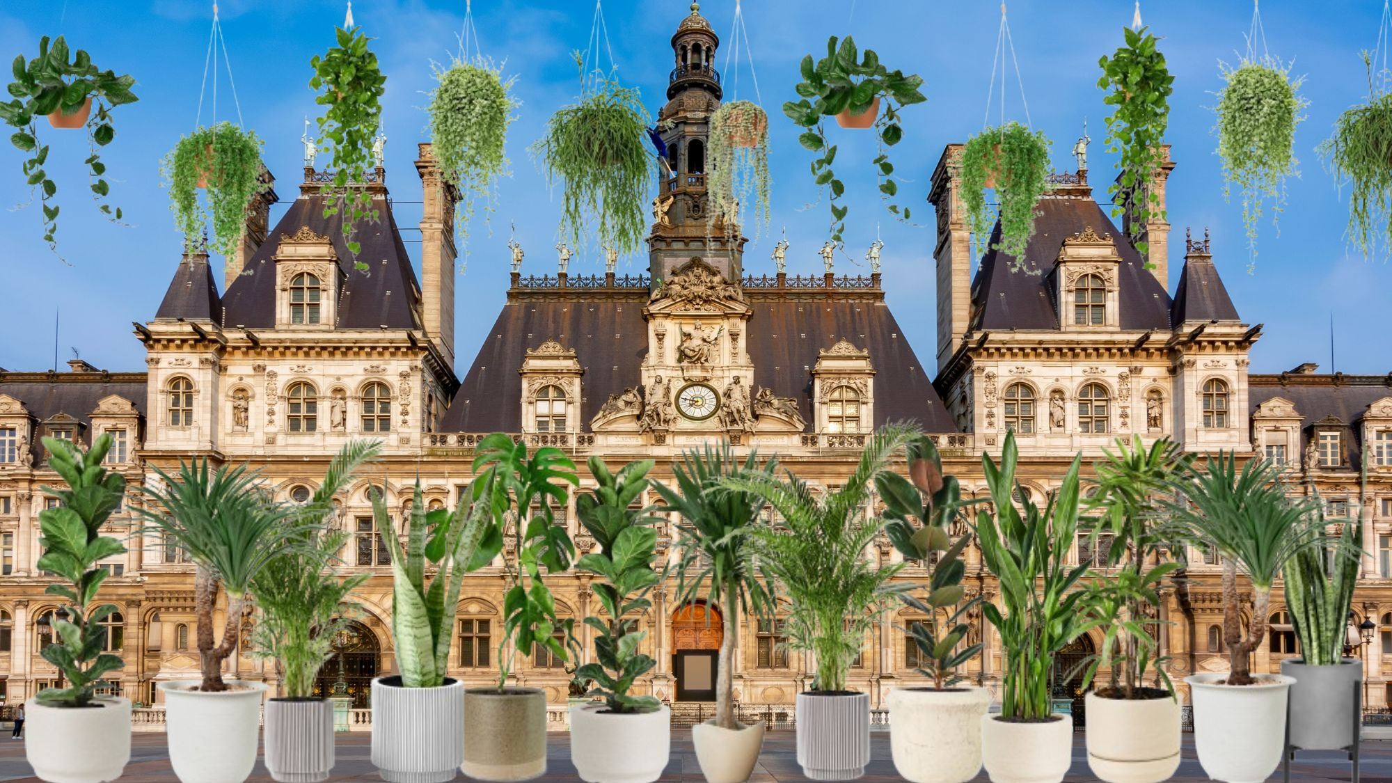 fete-plantes-hotel-de-ville-dimanche-6-juin-le-bon