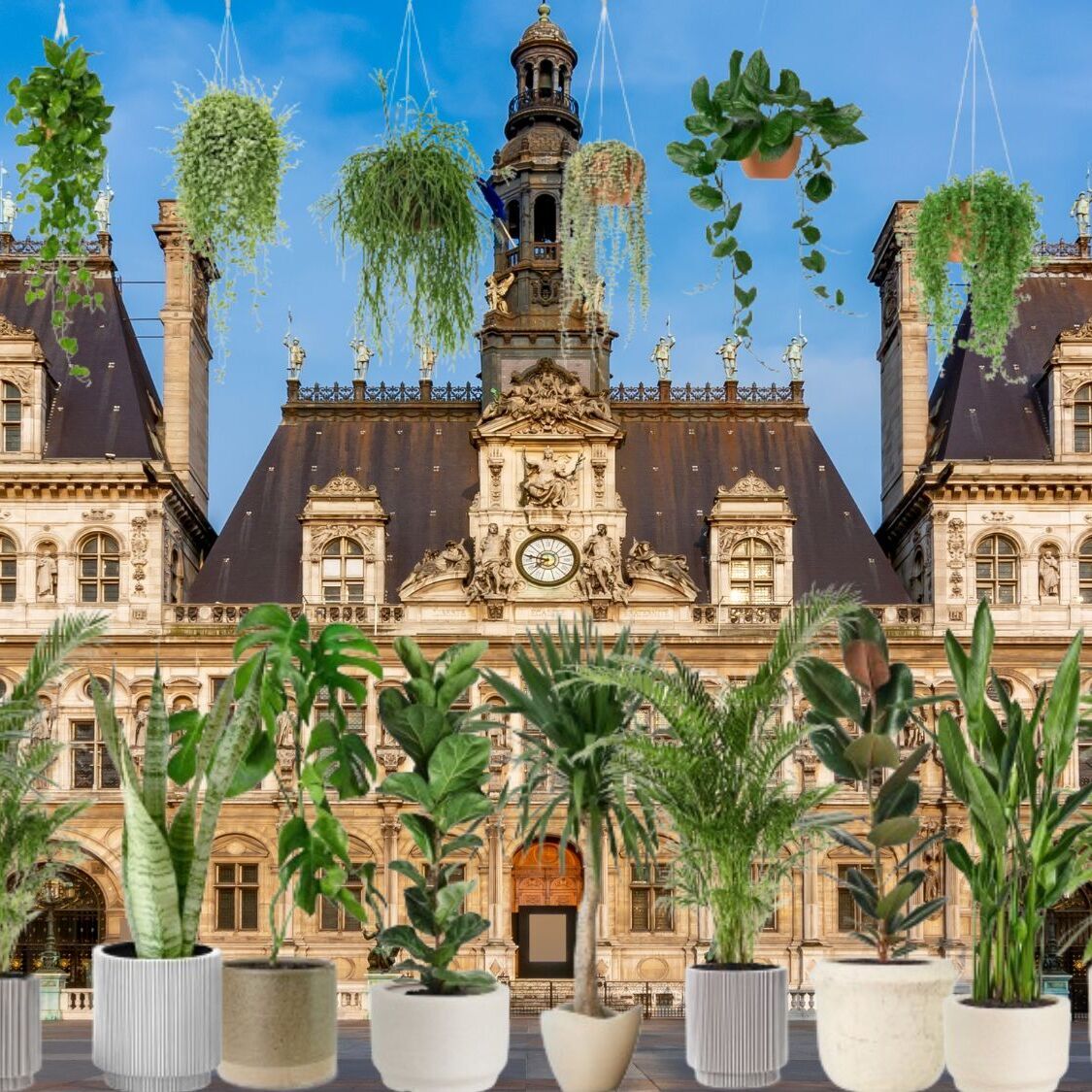 fete-plantes-hotel-de-ville-dimanche-6-juin-le-bon