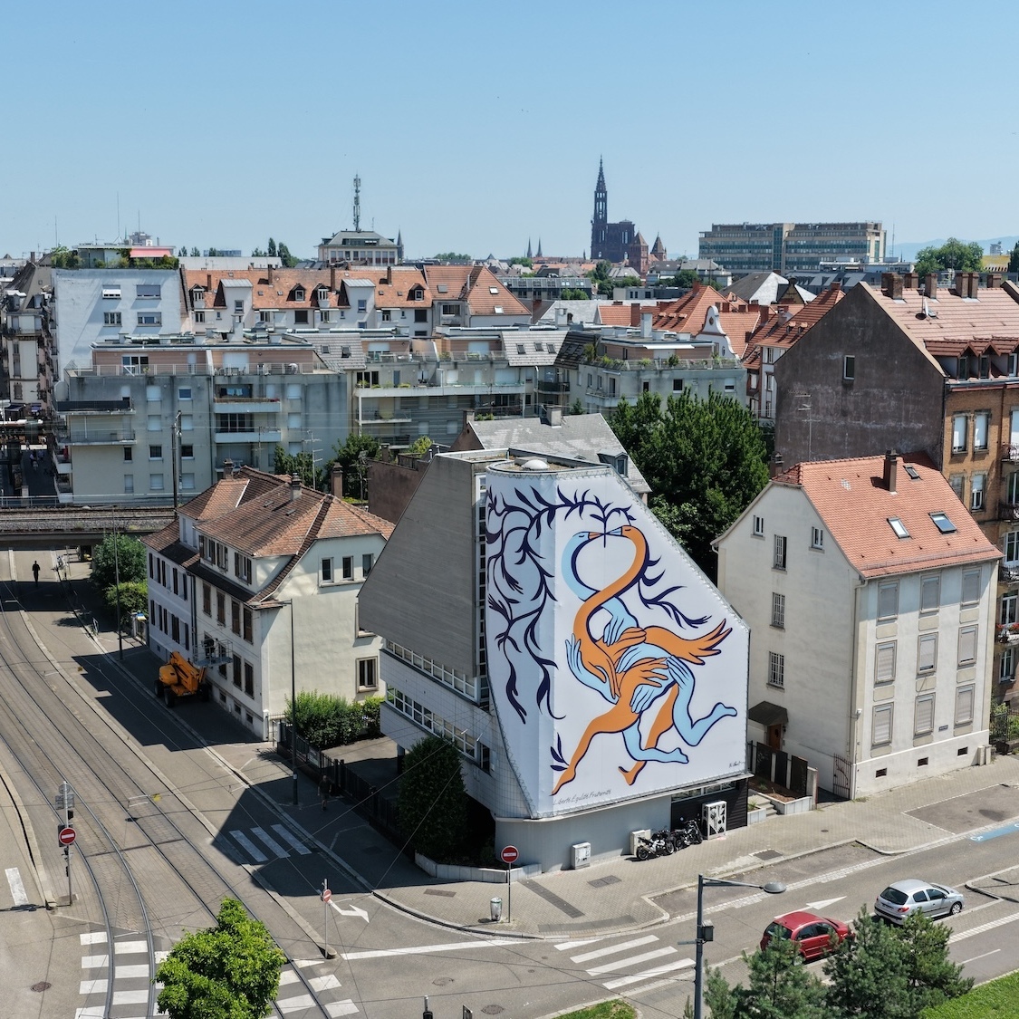 oeuvre-street-art-224-m-facade-strasbourg