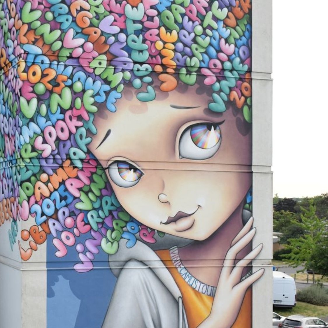 fresque-street-art-21-metres-facade-immeuble-toulo