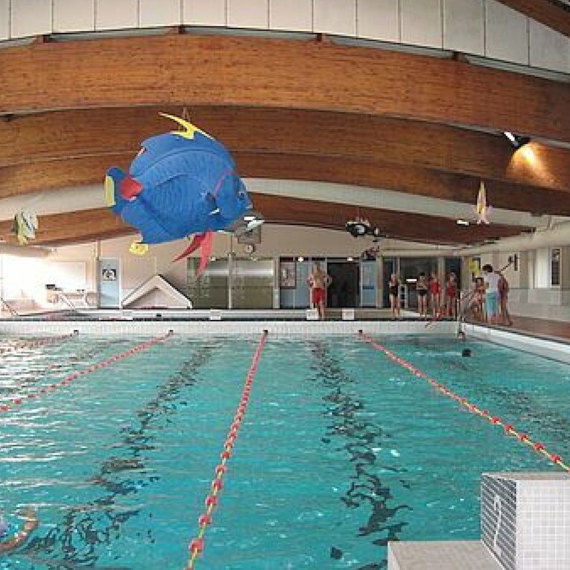 piscine-bouscat-ecus