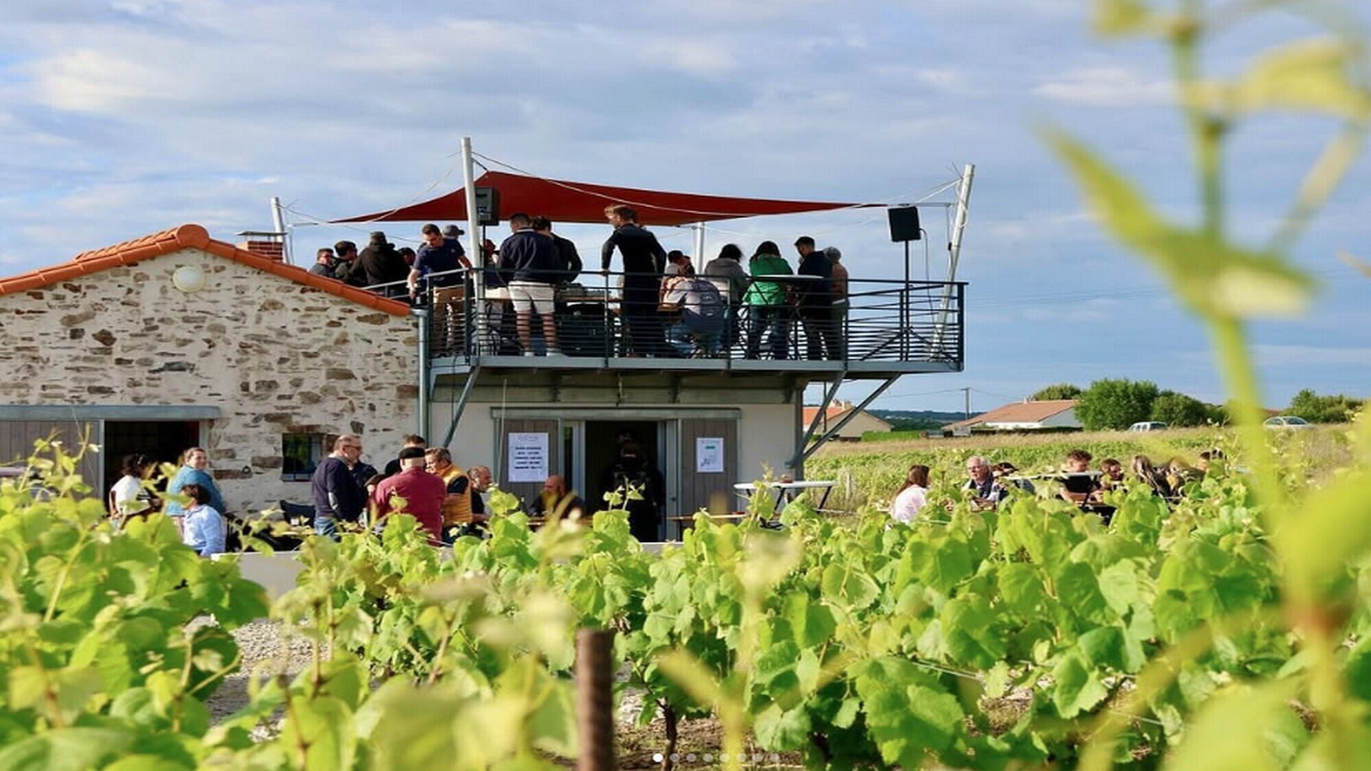 vignoble-ok