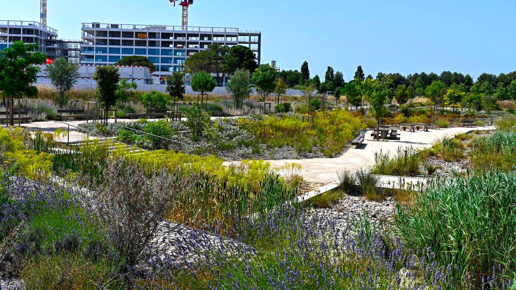 ville-de-montpellier-1-1-