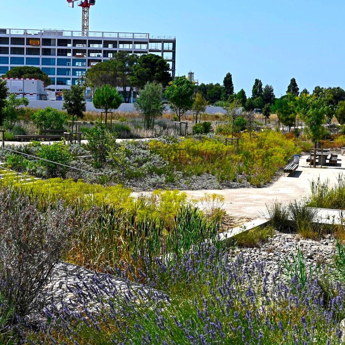 ville-de-montpellier-1-1-