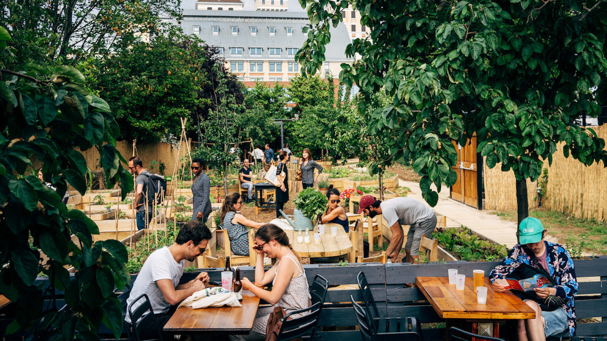 abd54b-c24ae17ed8a9493cb7ced30e36ed08c6-mv2