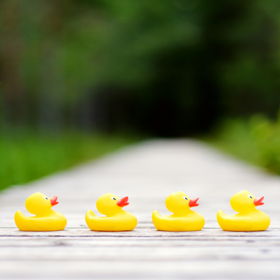 canard-ok