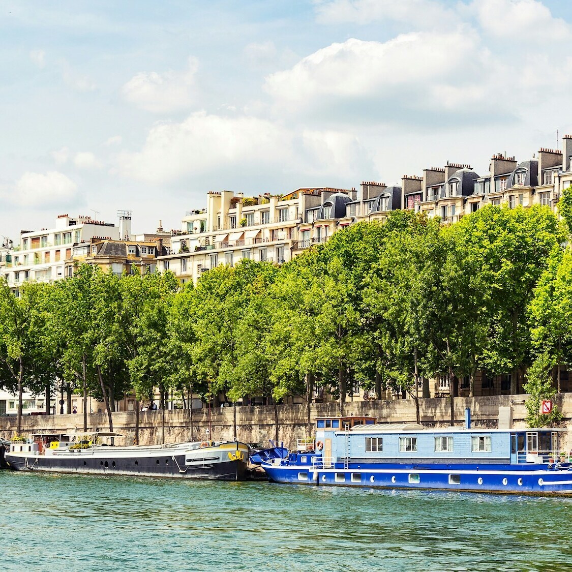 arbres-paris-seine-vegetalisation-votation-citoyen