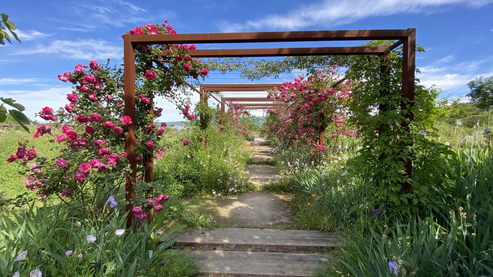 jardinsdumipccdf0617