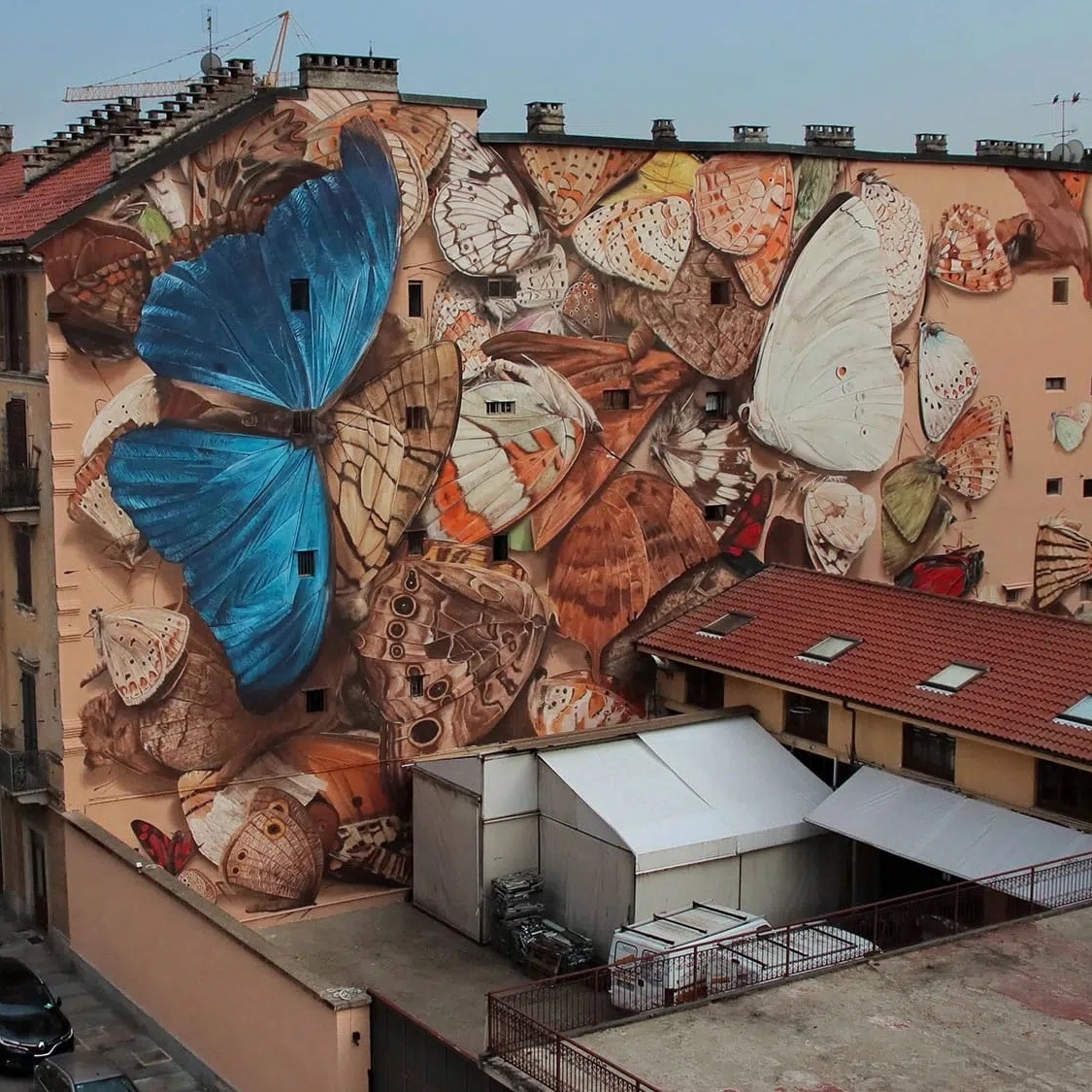 mantra-street-art-montpellier