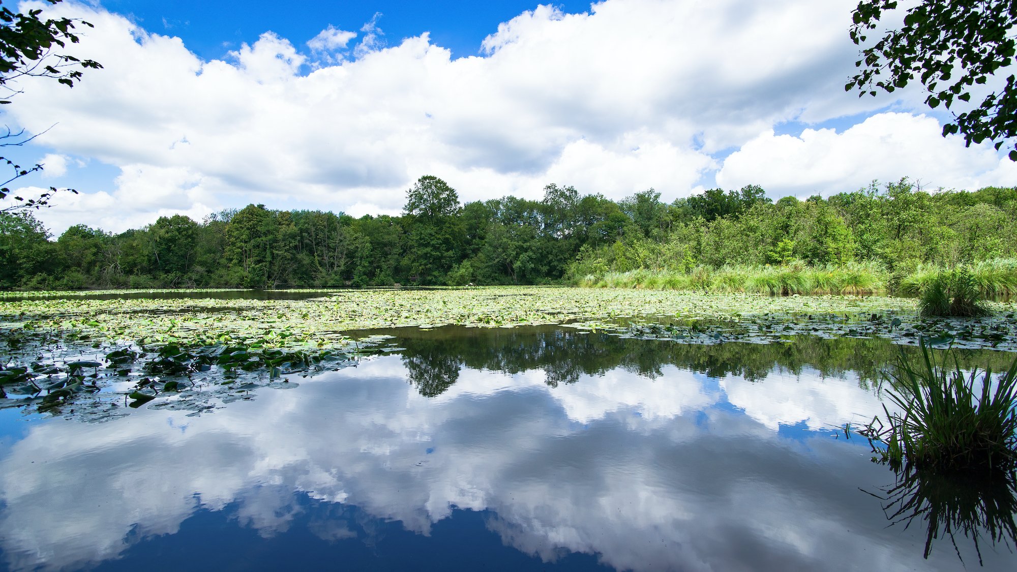 etangs-commelles-rando-sentier-escapade-proche-par