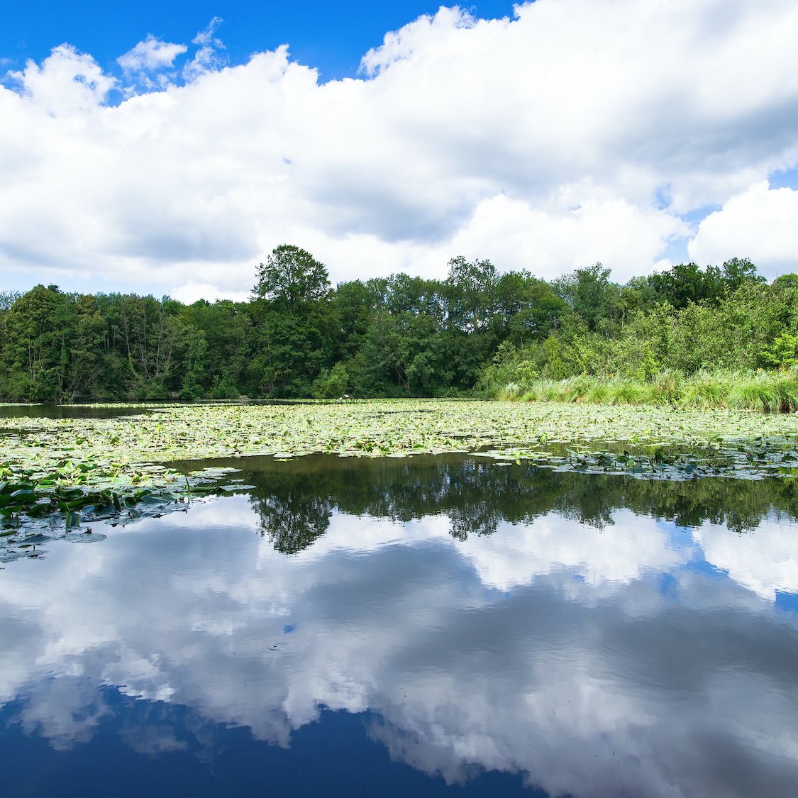 etangs-commelles-rando-sentier-escapade-proche-par