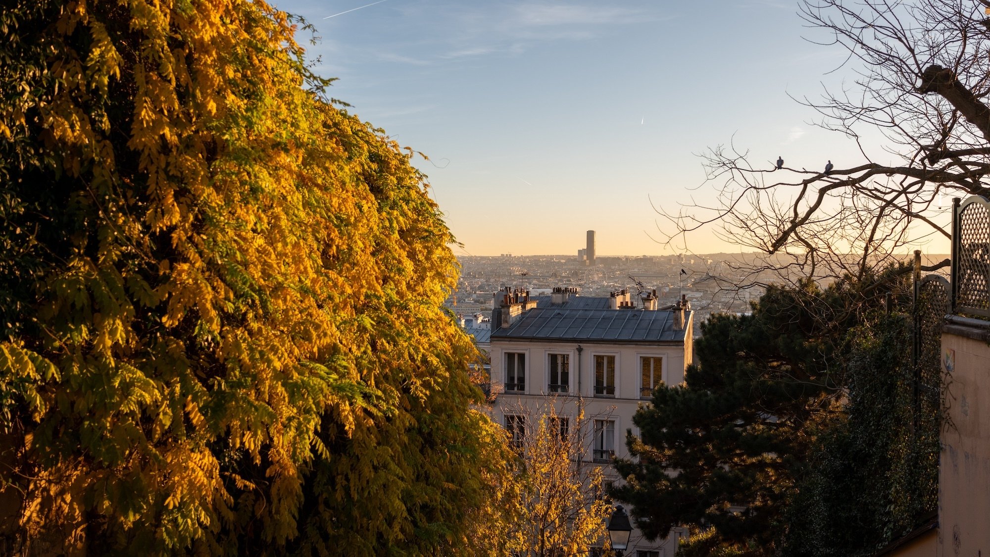 montmartre-credit-le-bonbon-hugo-dominguez