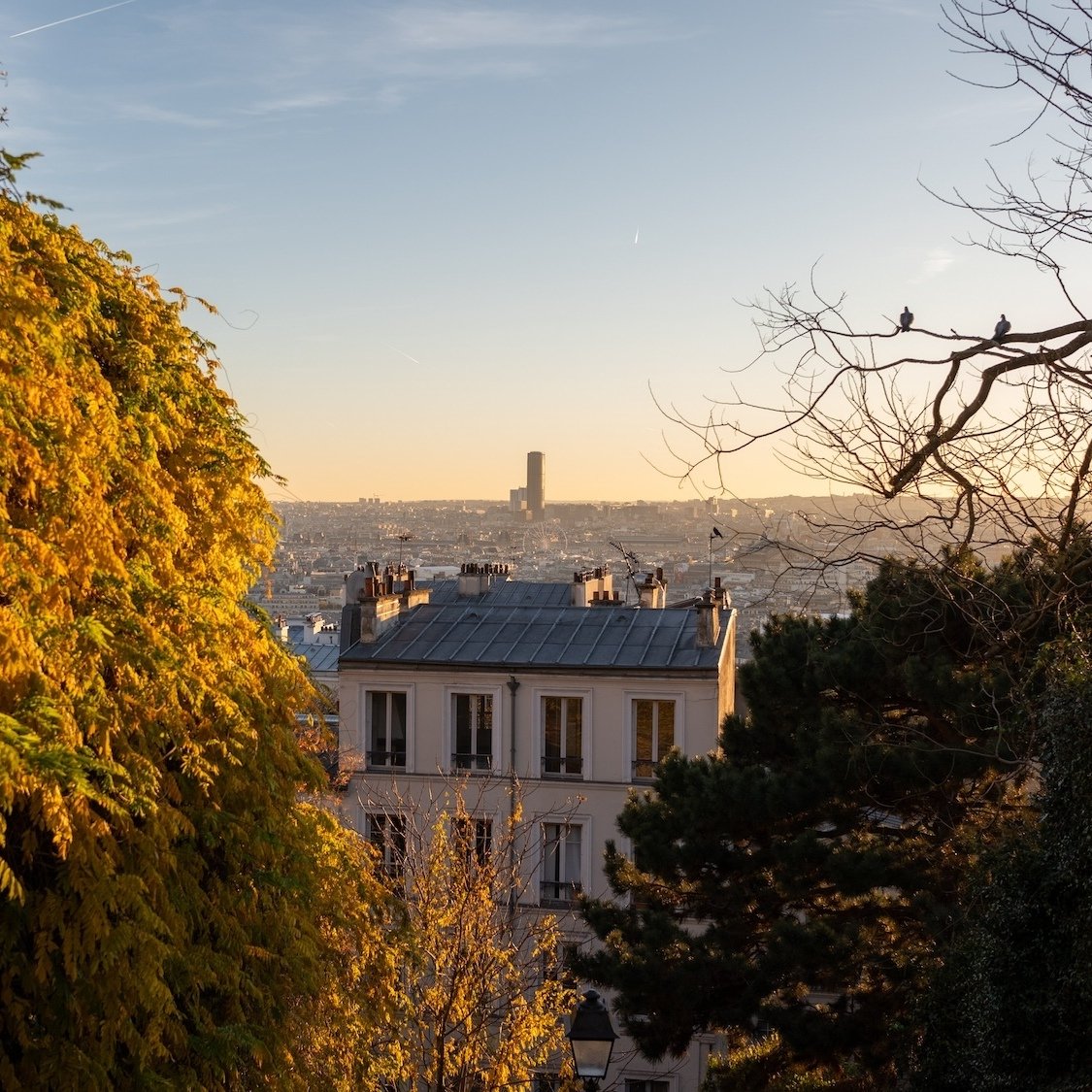 montmartre-credit-le-bonbon-hugo-dominguez