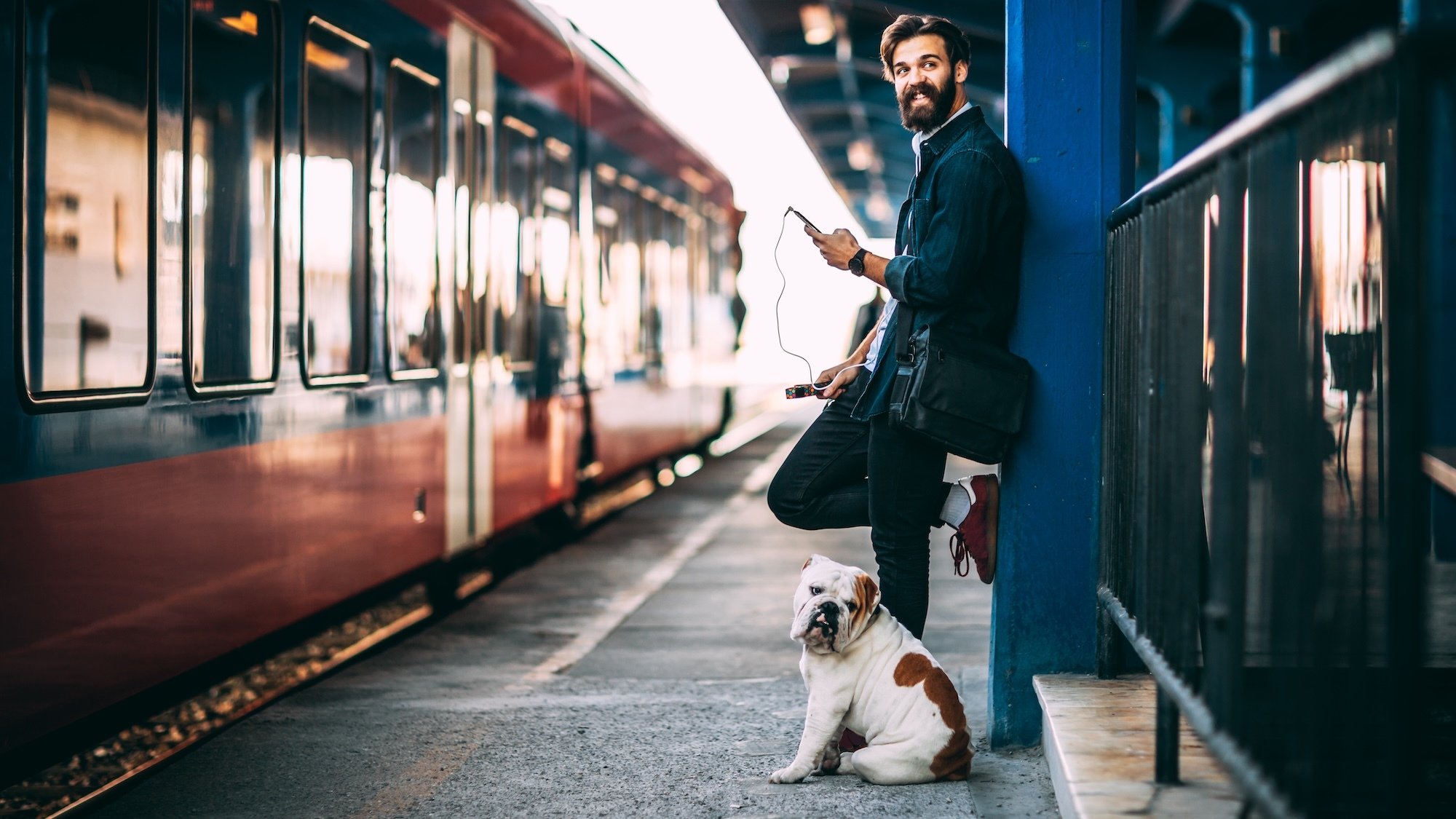 chiens-interdits-metro-toulouse-tisseo