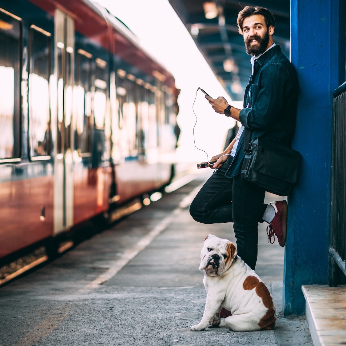 chiens-interdits-metro-toulouse-tisseo