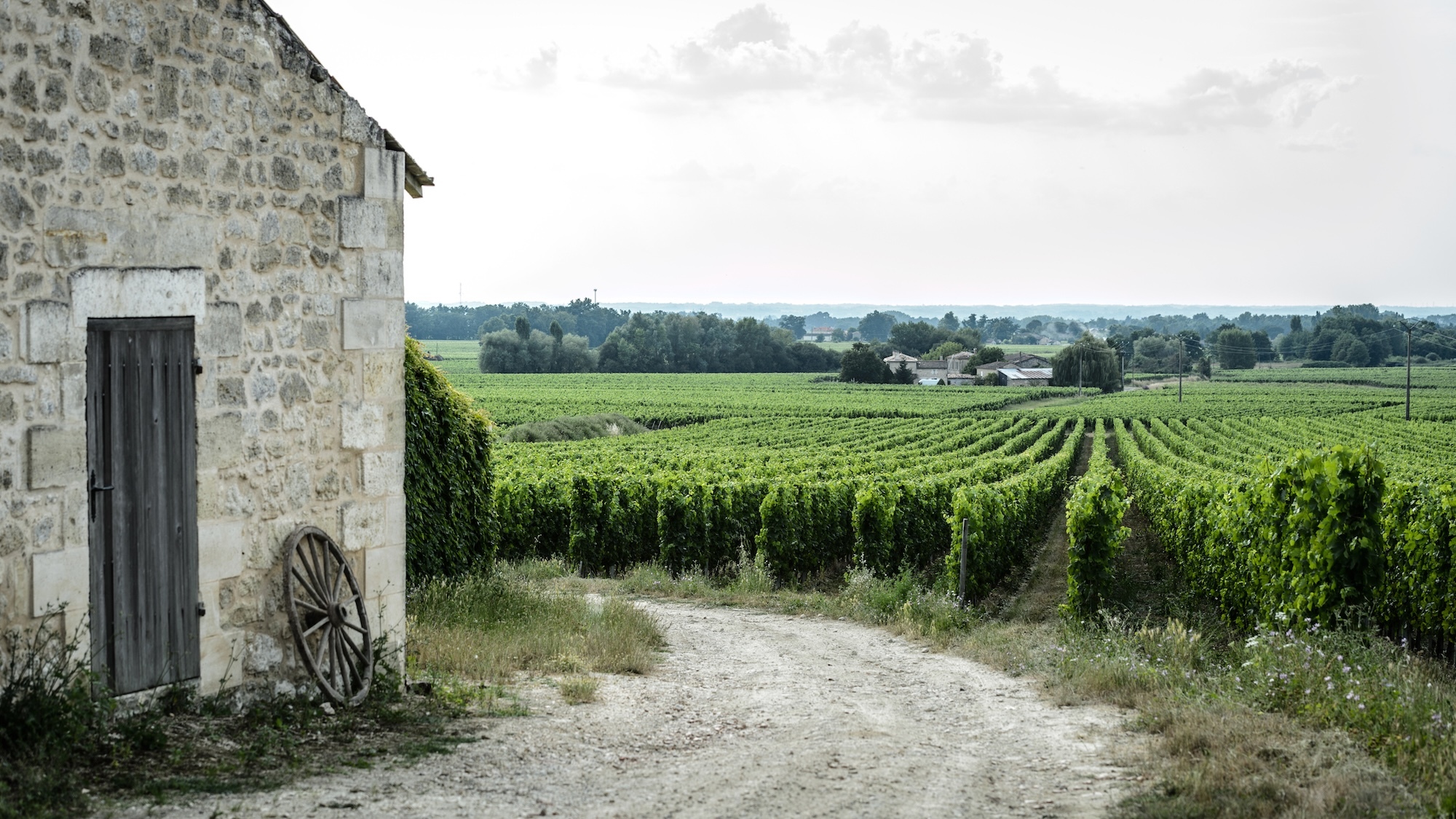 chateau-roc-de-calon