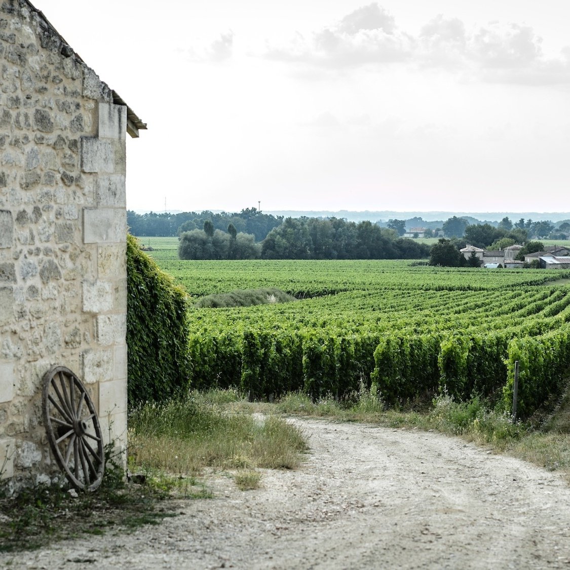 chateau-roc-de-calon