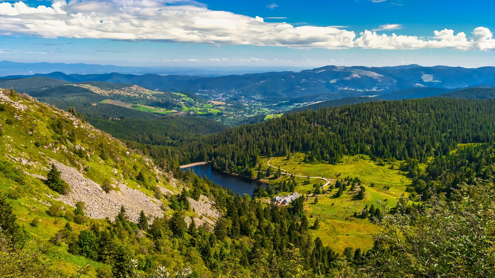 shutterstock-1081373879-1-1-
