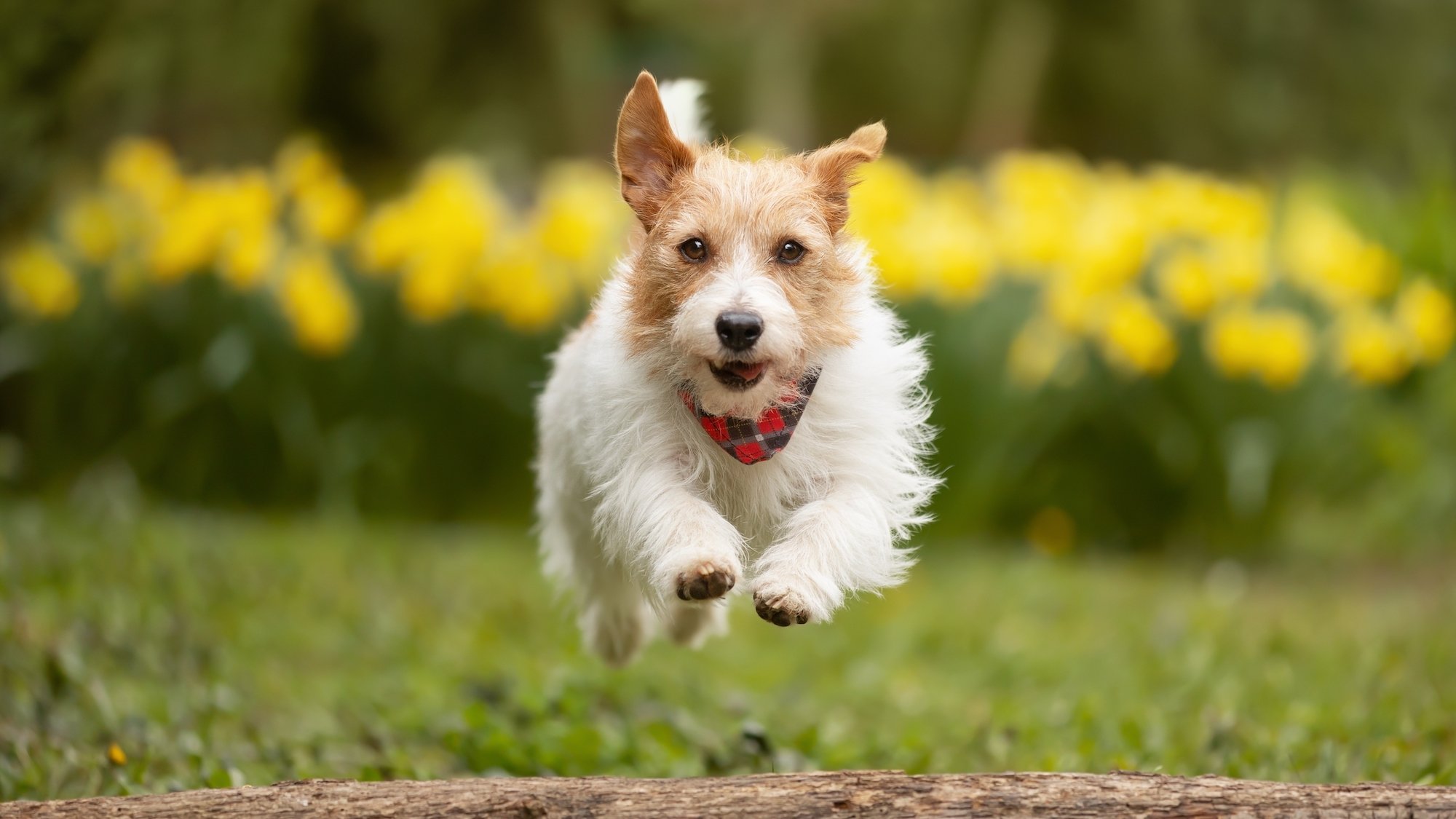 shutterstock-2582859451