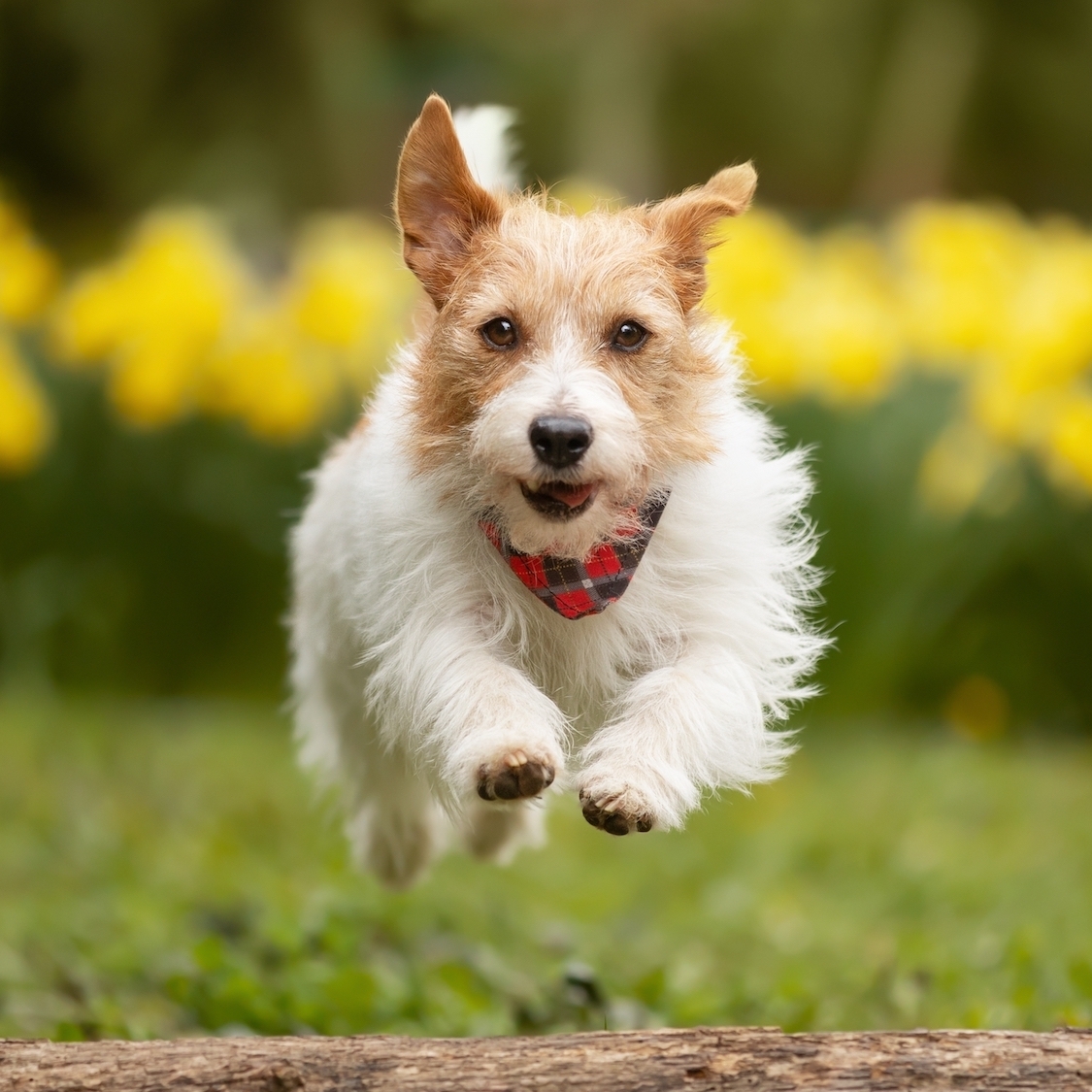 shutterstock-2582859451