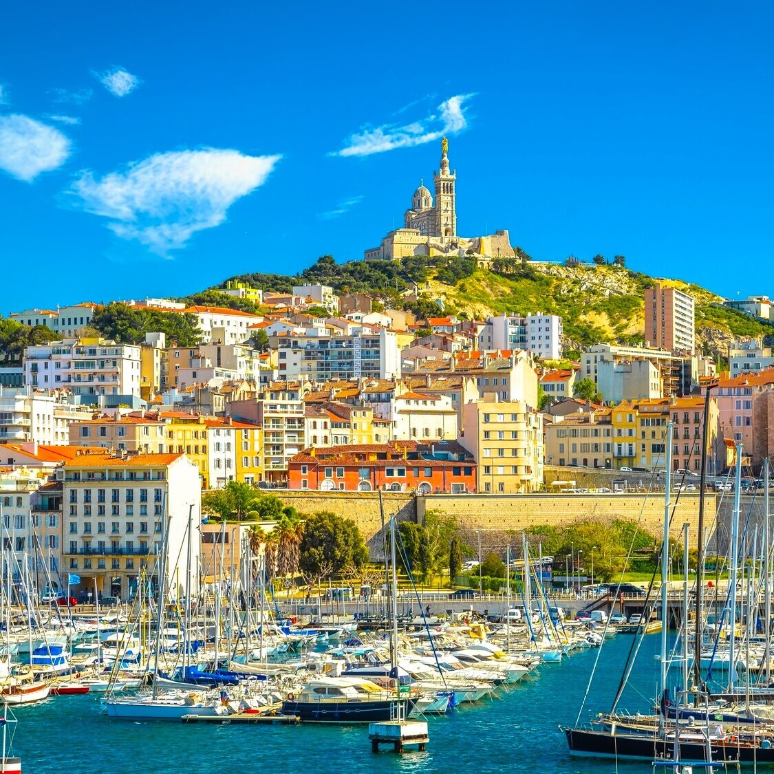 shutterstock-2457804887-1-1-