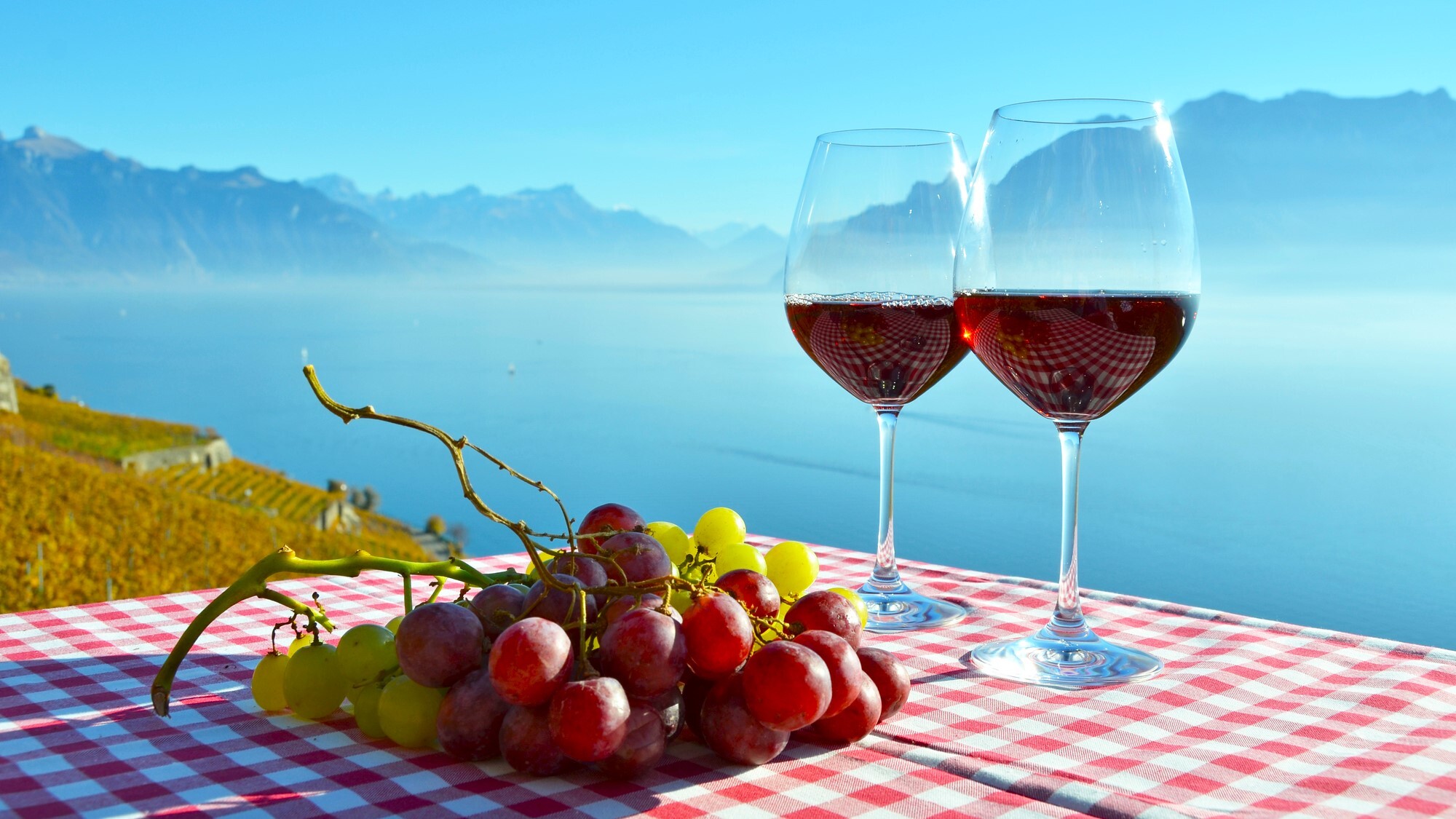 shutterstock-616966235-1-1-