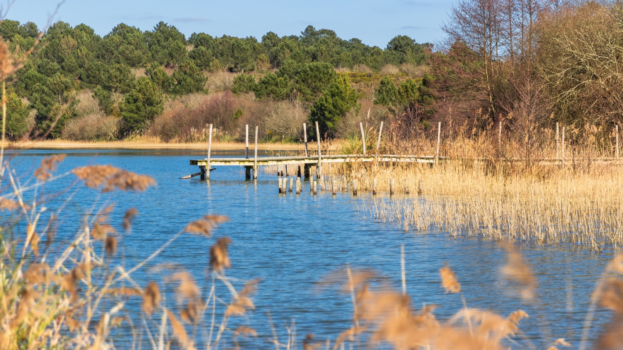 plage-arjuzanx-landes