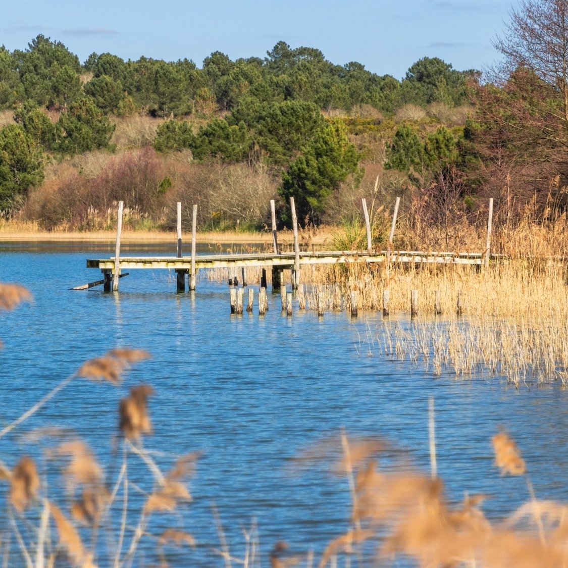 plage-arjuzanx-landes