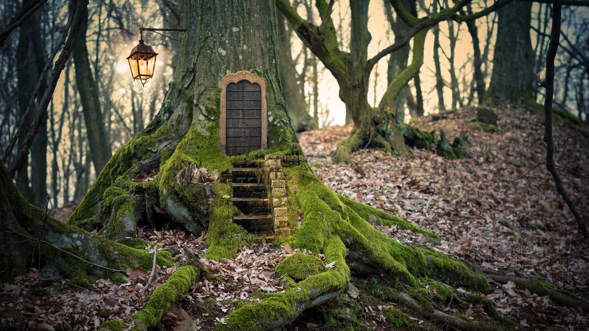 foret-magique-bordeaux