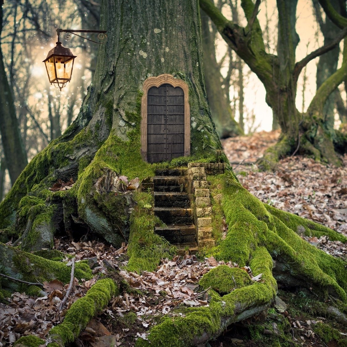 foret-magique-bordeaux