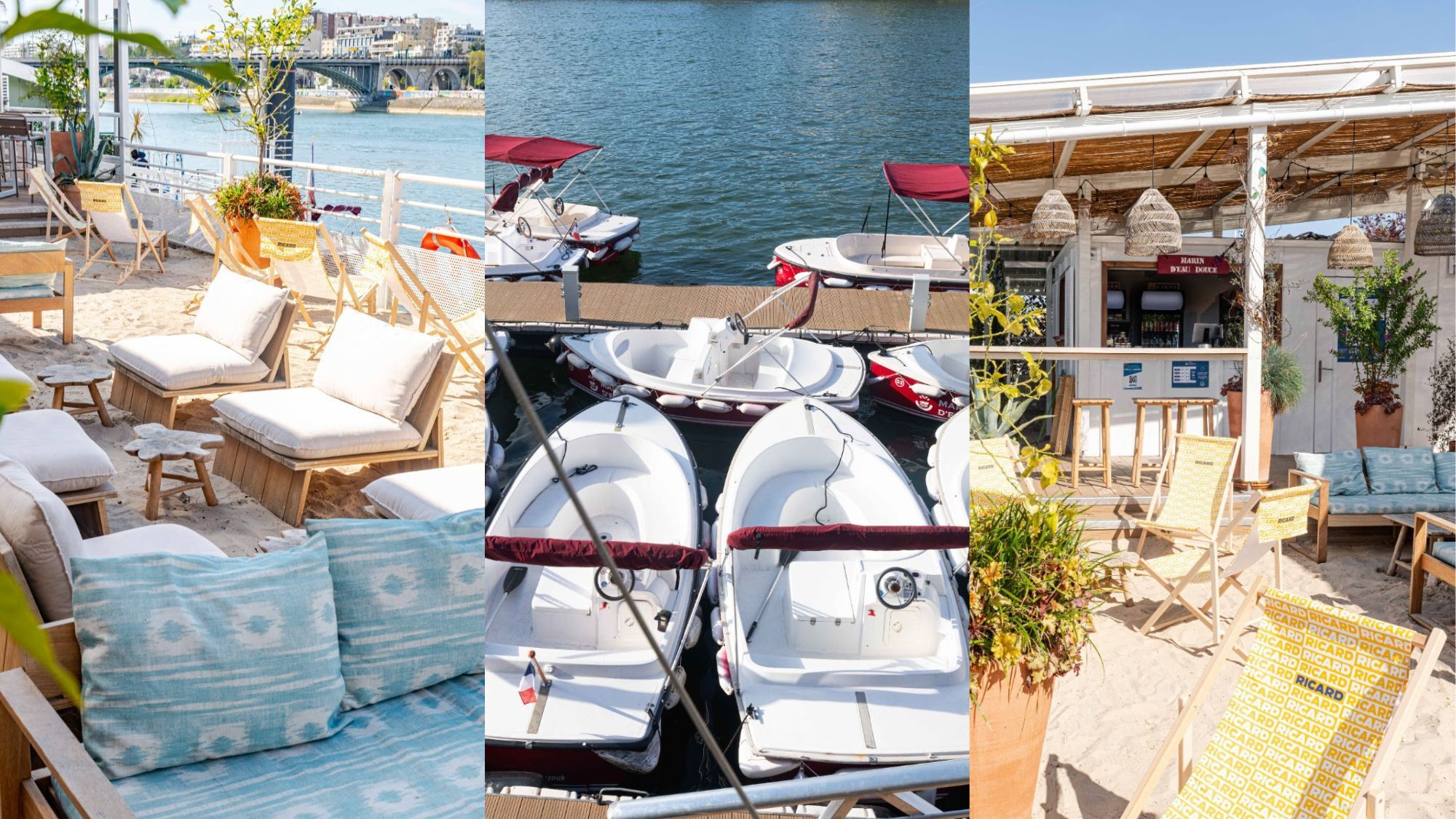 polpo-plage-le-bonbon