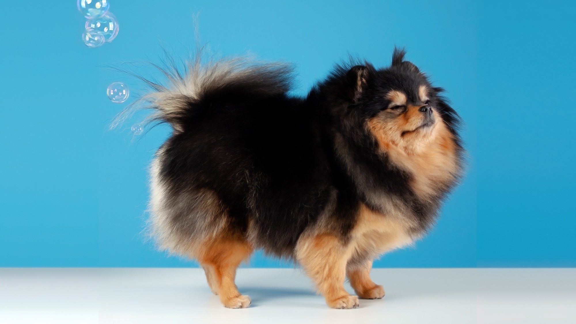 À Lyon, ce centre de bien-être et de minceur propose un soin inédit pour vous libérer de vos pets stop-ballonement-soin-cool-fit-lyon-pets-ventre-go