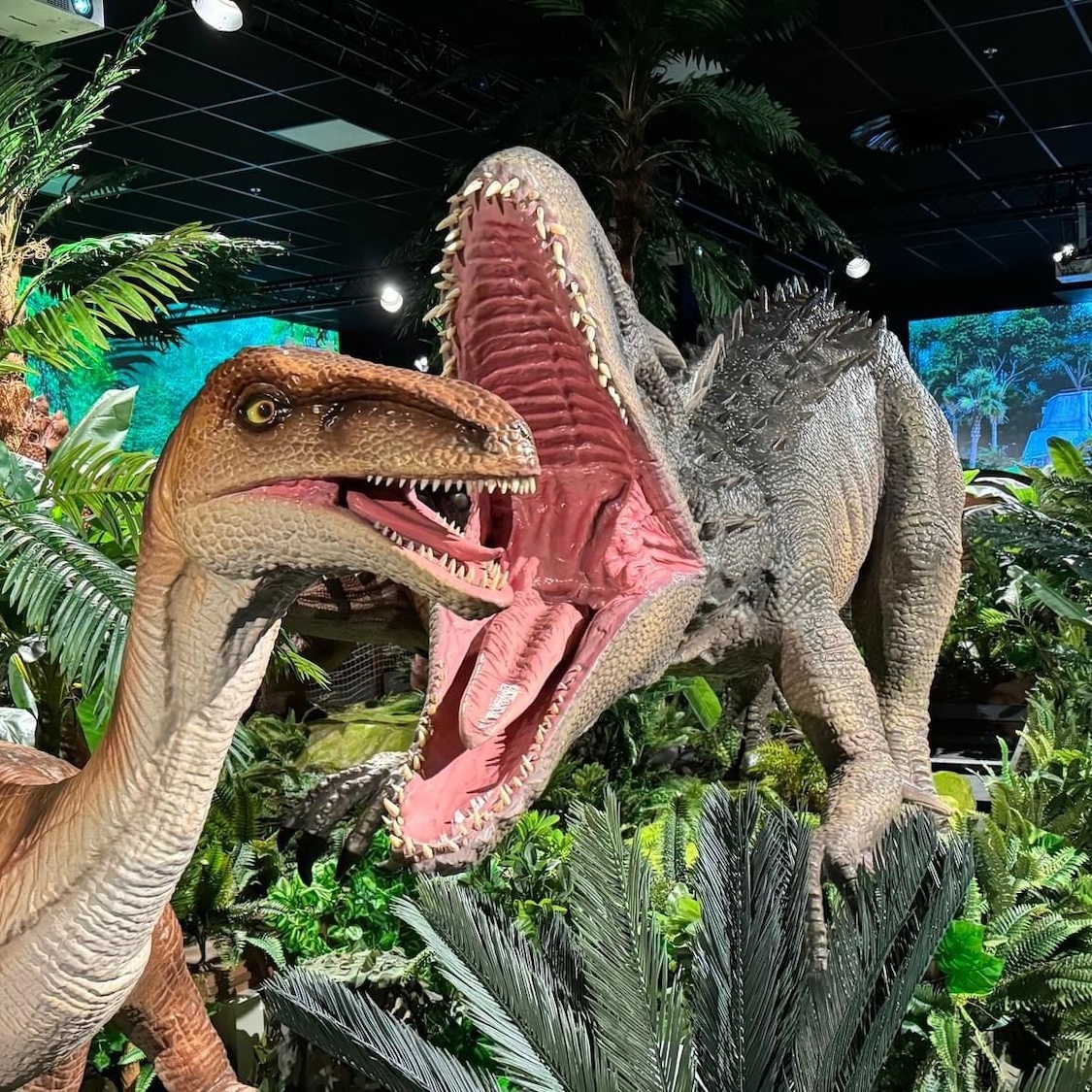 monde-dinosaures-bordeaux