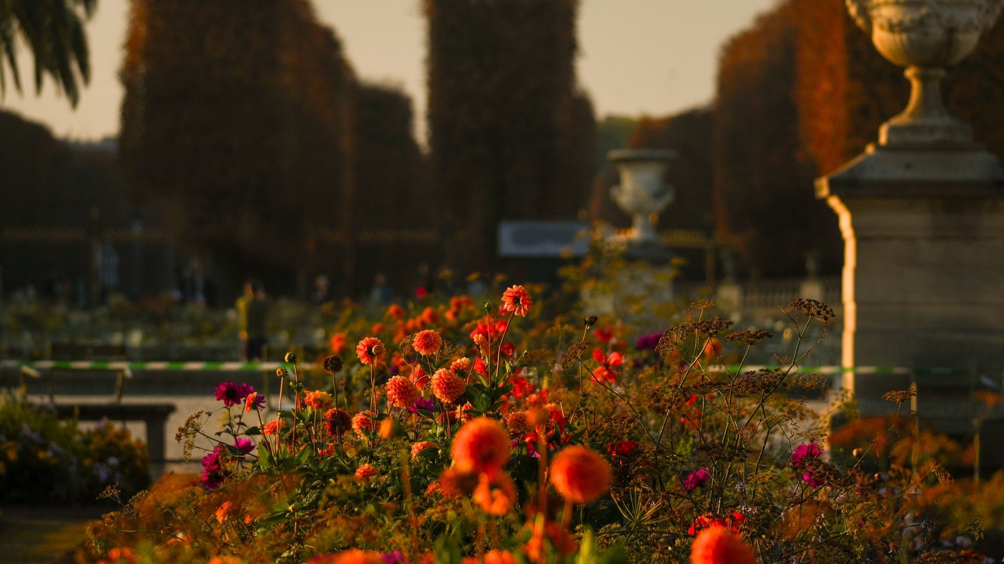 What to do in Paris this weekend? (November 7-9) paris-credit-jagodabartus-lebonbon