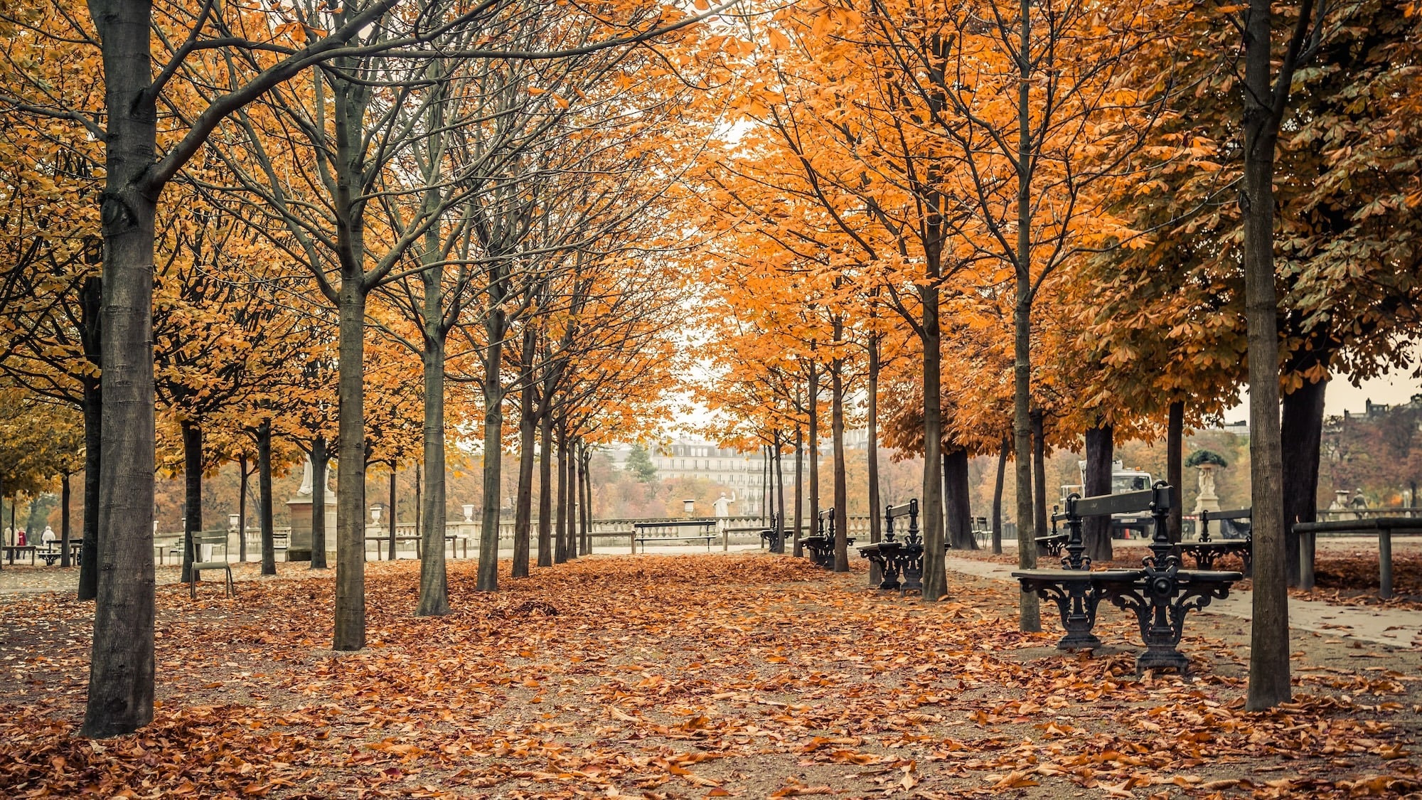 jardin-luxembourg-paris-jeanlucichard-shutterstock