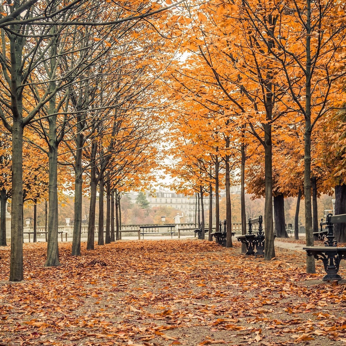 7 balades pour admirer les couleurs de l’automne à Paris et ses alentours jardin-luxembourg-paris-jeanlucichard-shutterstock