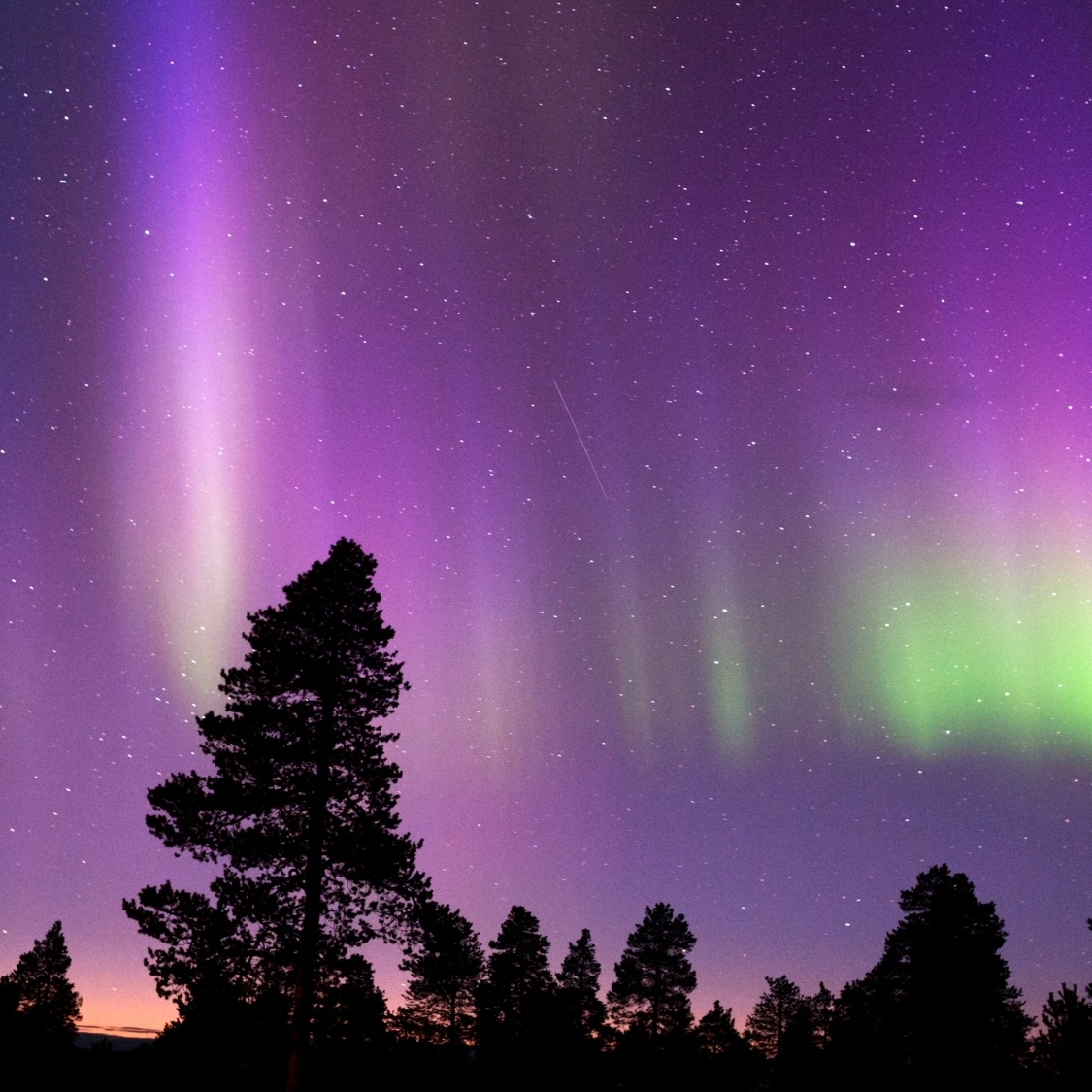 djon-aurores-boreales