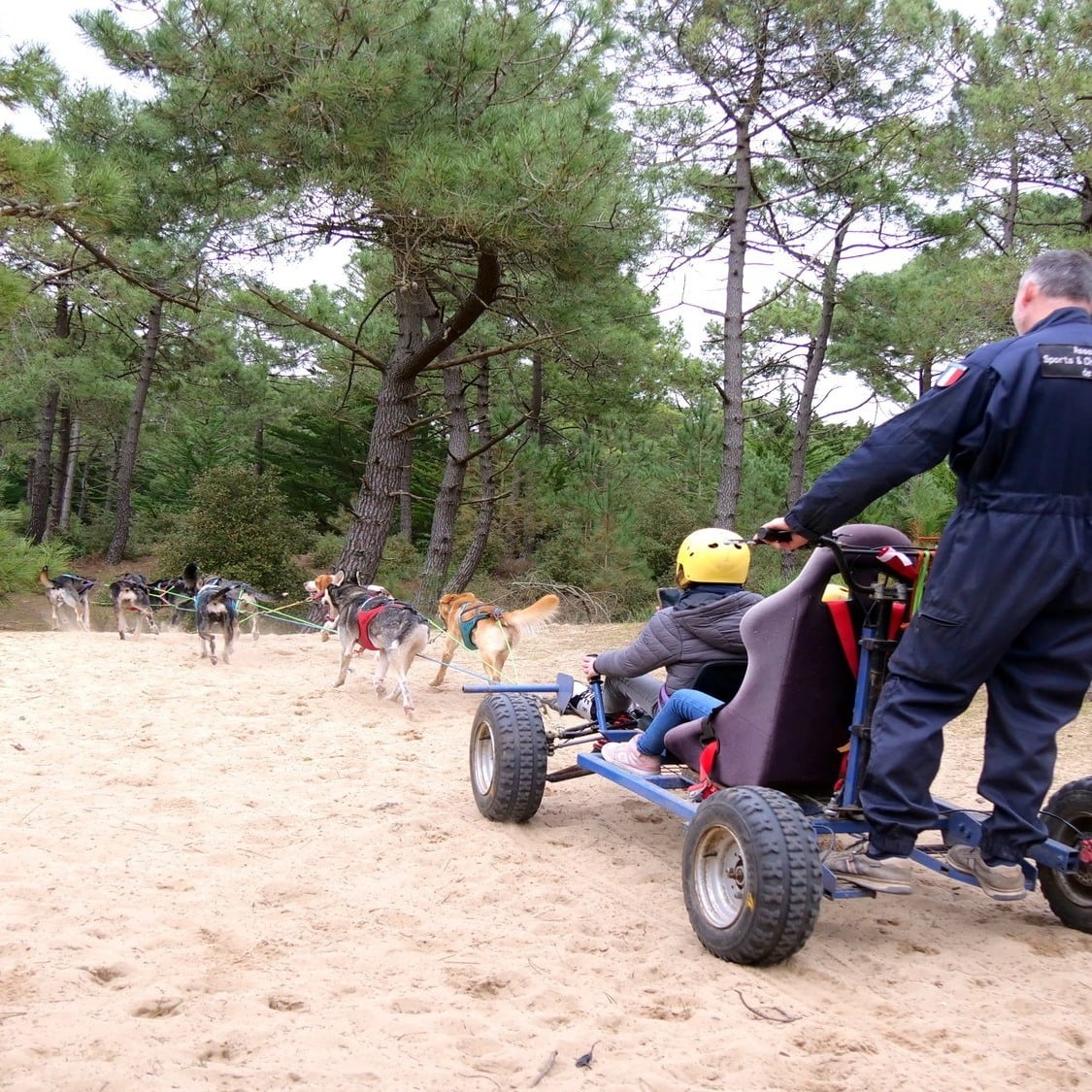 La première station de sports d’hiver en bord de mer s’installe près de Nantes chiens-de-traineau-couv-ok