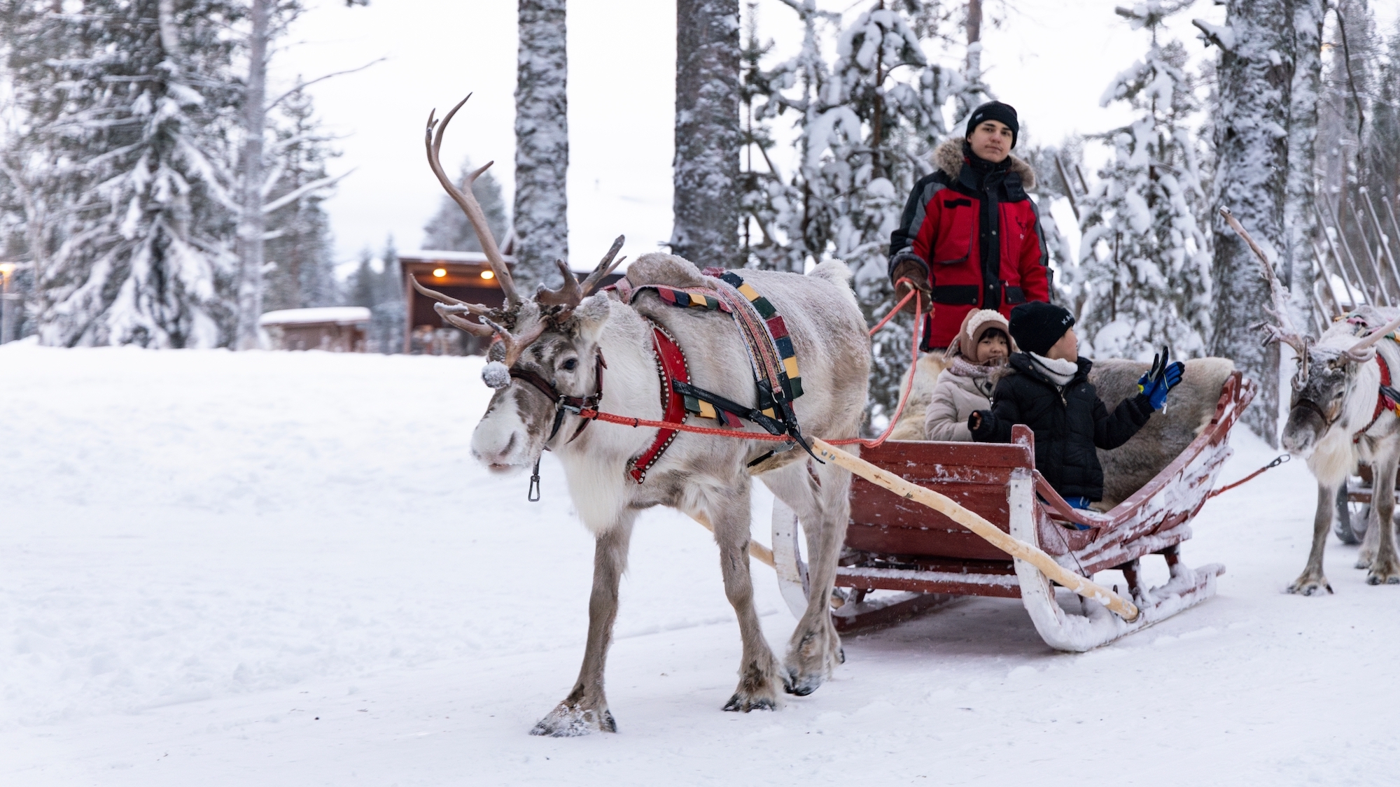 shutterstock-2677365135