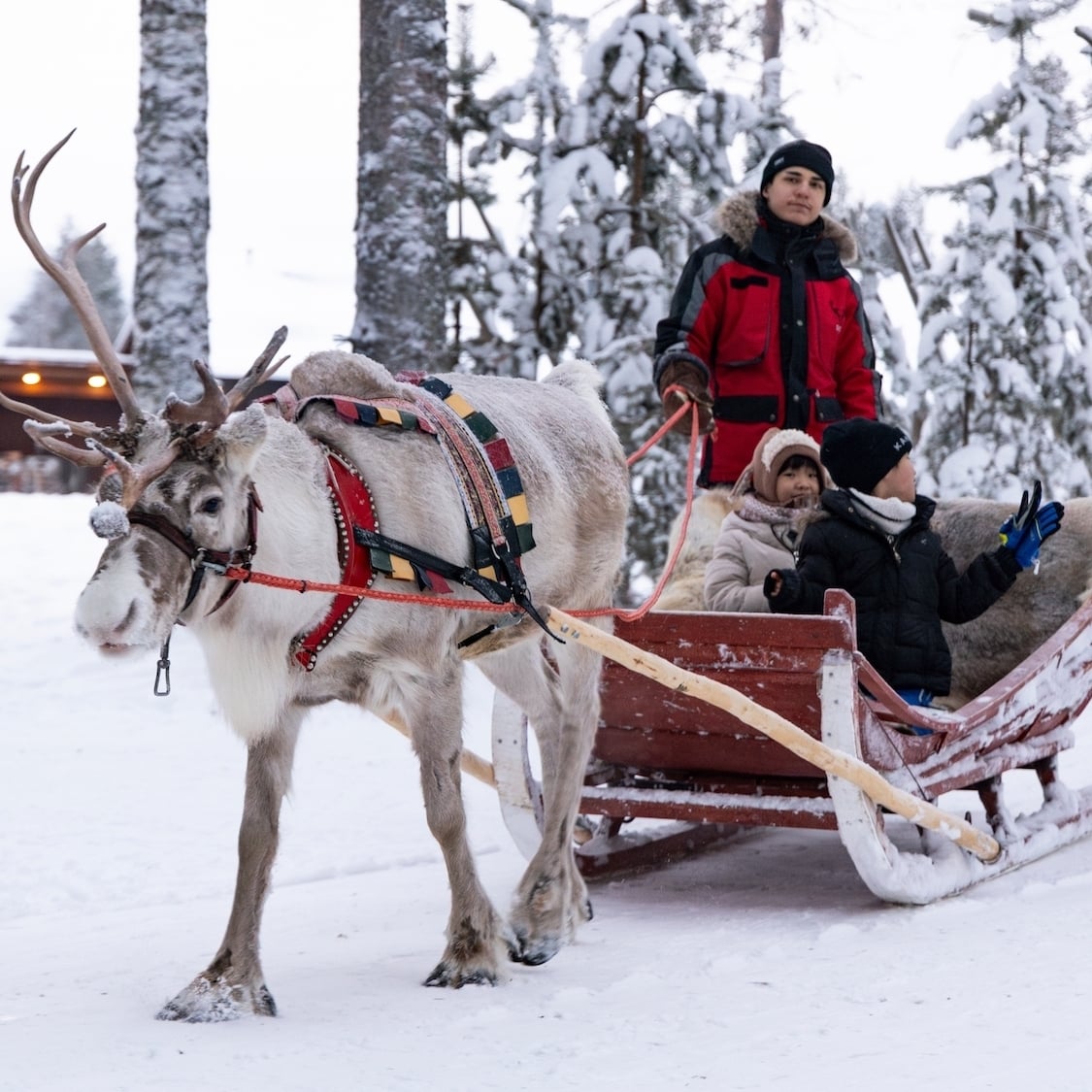 shutterstock-2677365135