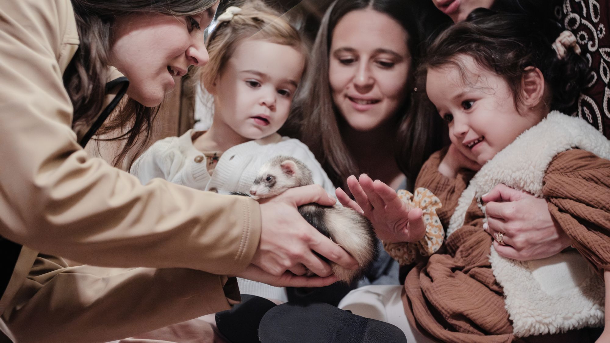 enfants-animaux-fouine