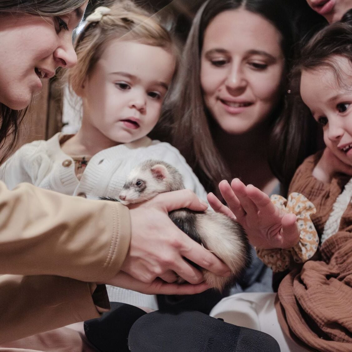enfants-animaux-fouine