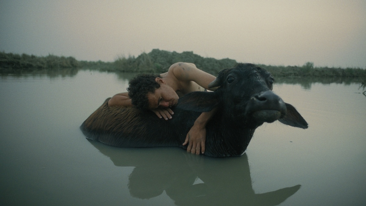 Les Rencontres Internationales Paris/Berlin de retour dans 7 institutions parisiennes